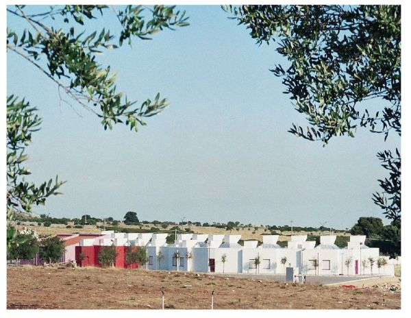 Lembo 3 primo lottto