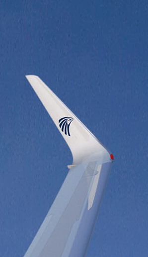 Boeing winglets