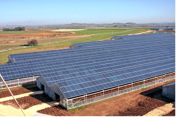 Serre fotovoltaiche di Su Scioffu