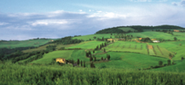 Terre di Siena