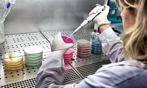 Whirlpool - analisi di laboratorio