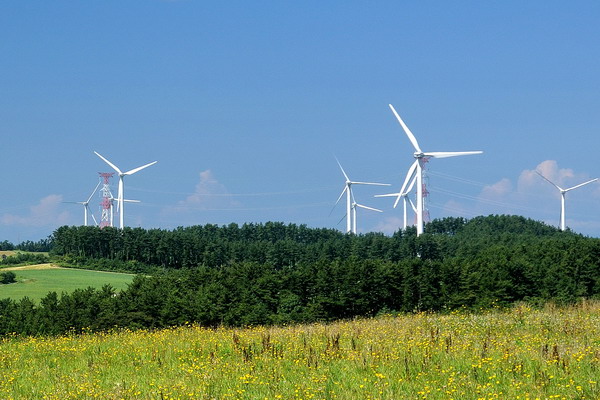 Parco eolico
