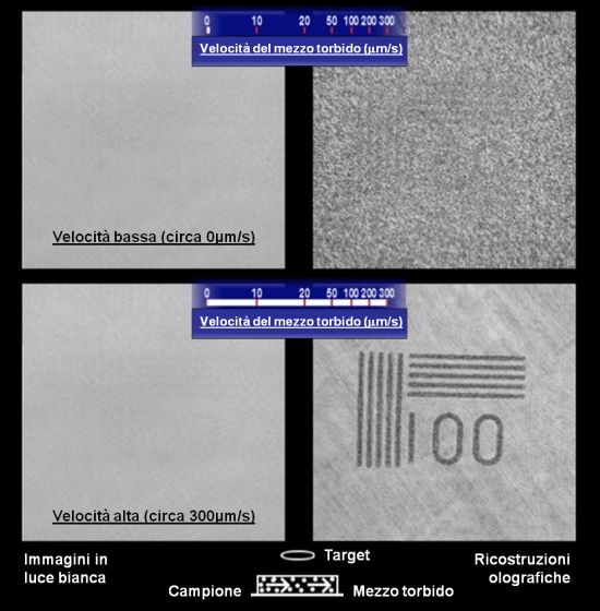 Ricostruzioni olografiche