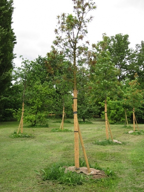 Prima area Progetto Gaia