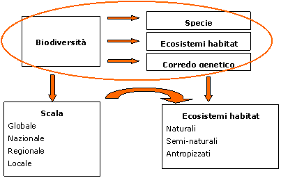 Figura 2. Esempio schematico del funzionamento e delle interazioni esistenti in un ecosistema a varie scale geografiche Mappa ecosistemi