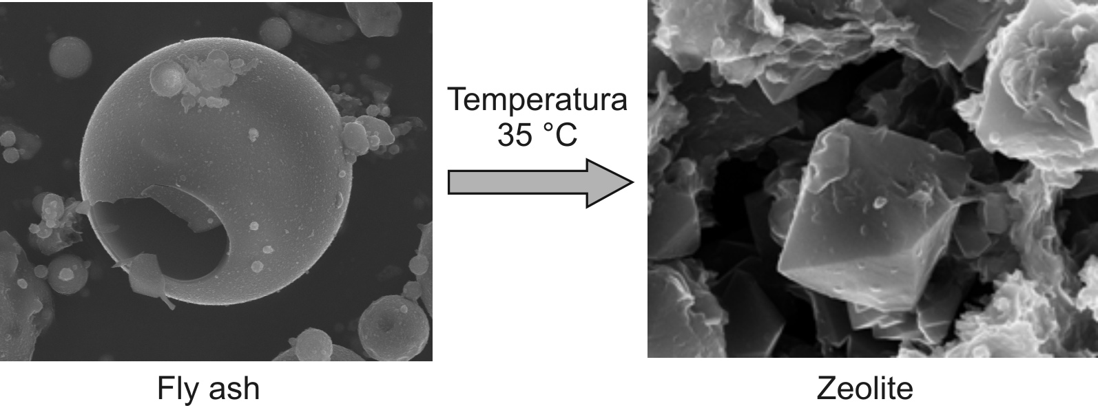 Zeolite - Protectaweb