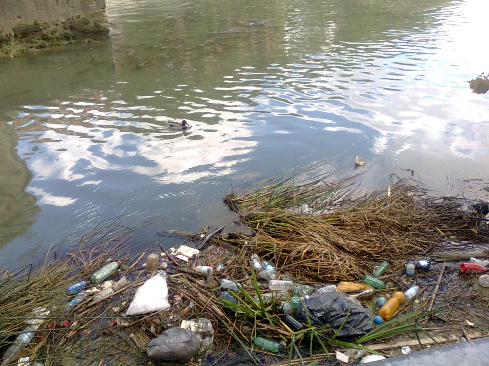 Rifiuti nel Tevere - 