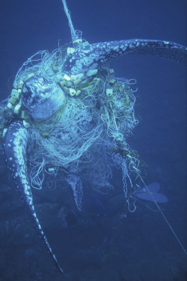 dnv.com/plasticaquatic