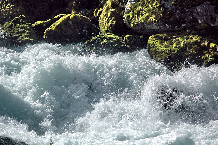 Acqua