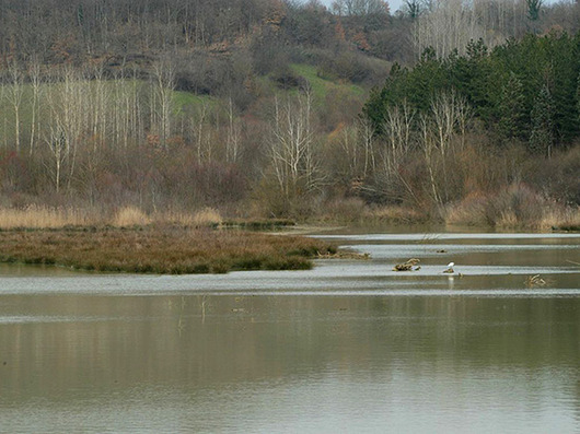 Riserva naturale Valle dell'Inferno e Bandella