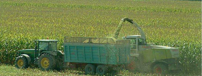 Agricoltura e biogas