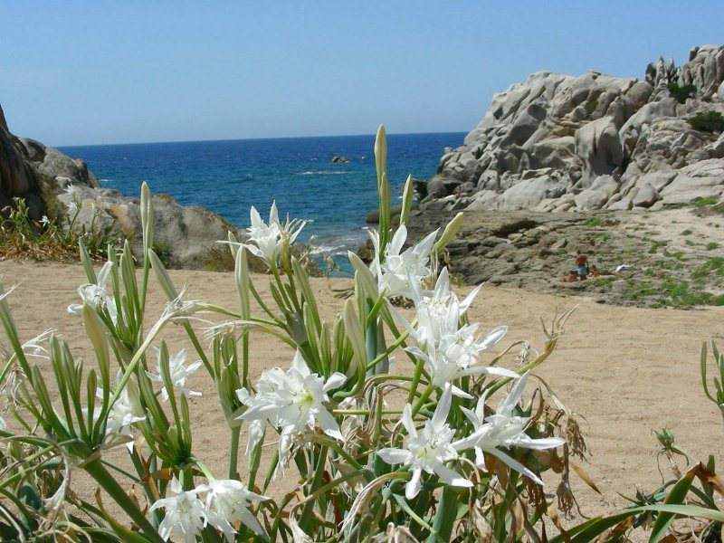Sardegna