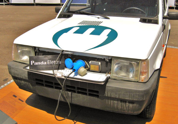Panda Elettra