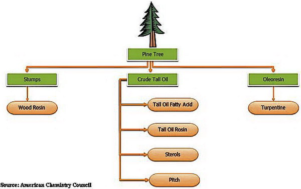 Prodotti derivati del pino