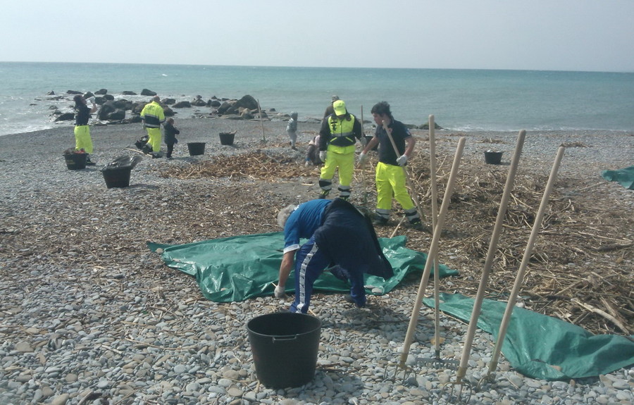 Pulizia spiagge