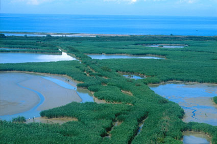 Delta del Po
