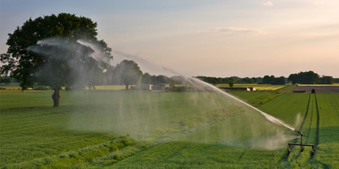 Irrigazione
