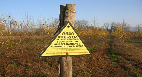 contaminazioni metalli pesanti
