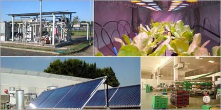 efficienza energetica agricoltura